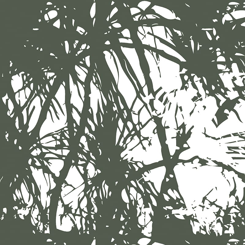 Pandanus Palm Fabric image 1