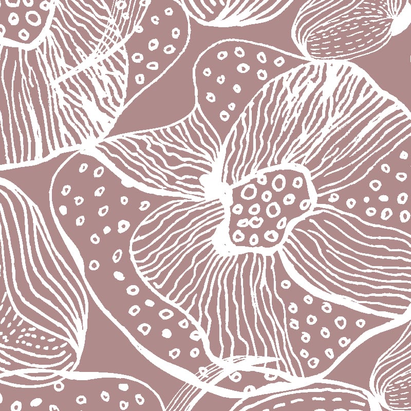 Orchids Wallpaper