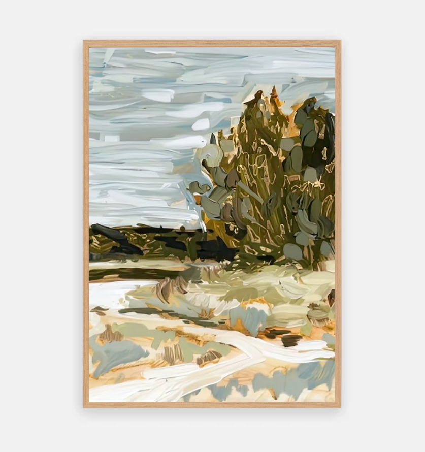 Lake Ginninderra I image 4