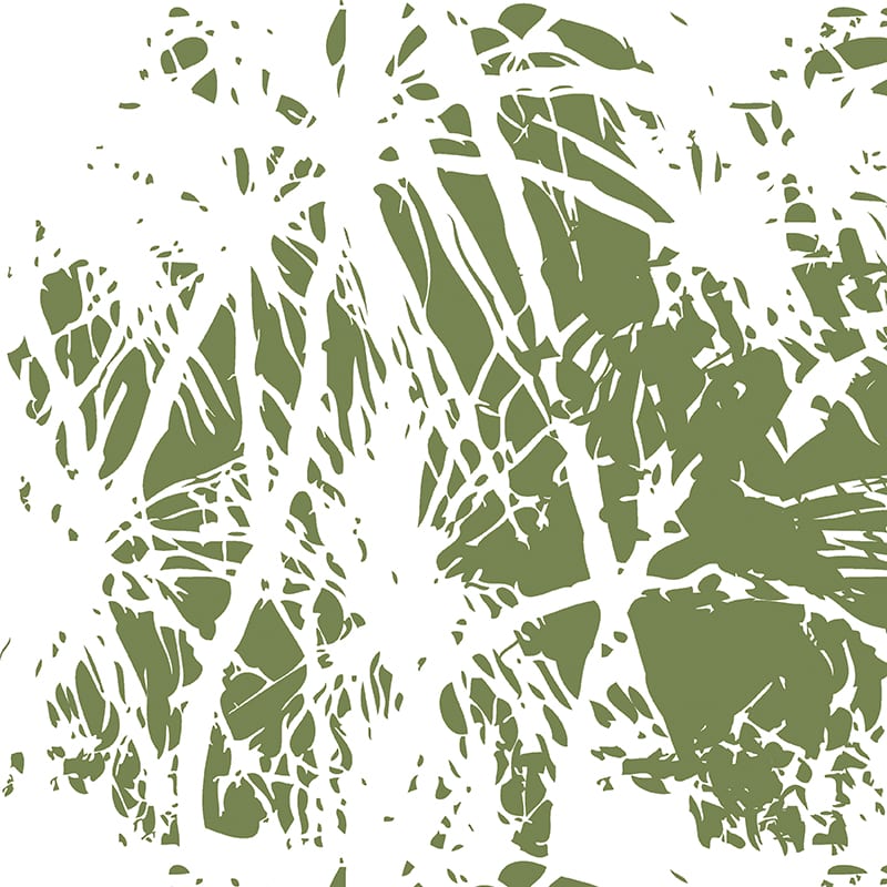 Pandanus Palm Fabric image 2