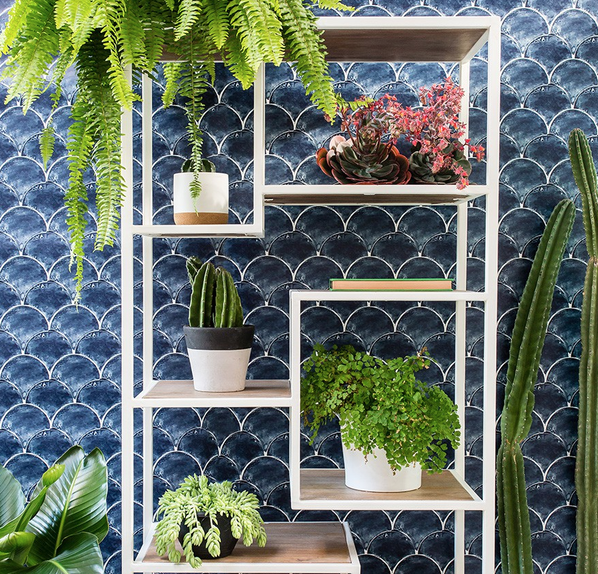 Mediterranean Fishscale Wallpaper image 0