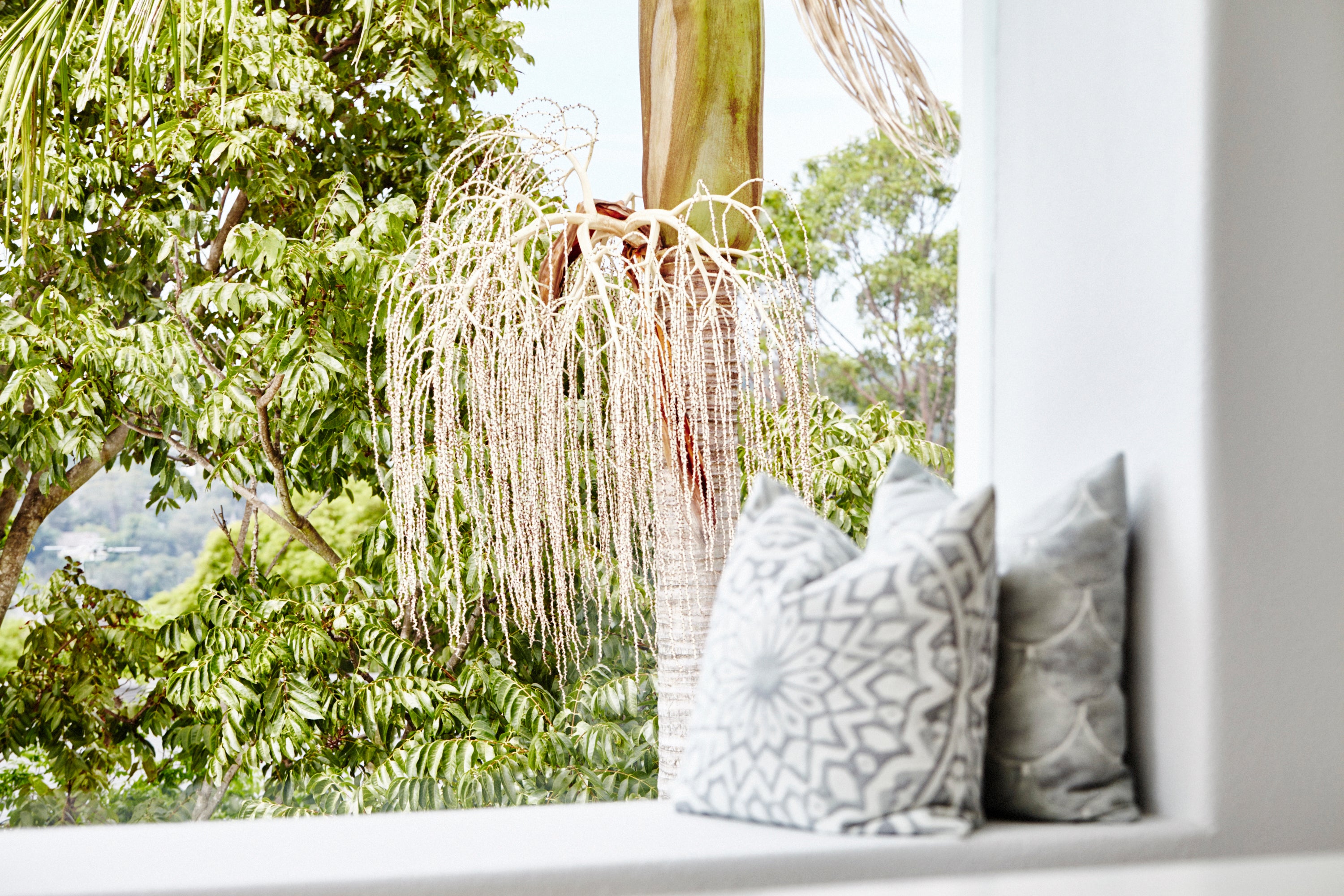 Bahia Grande Cushion