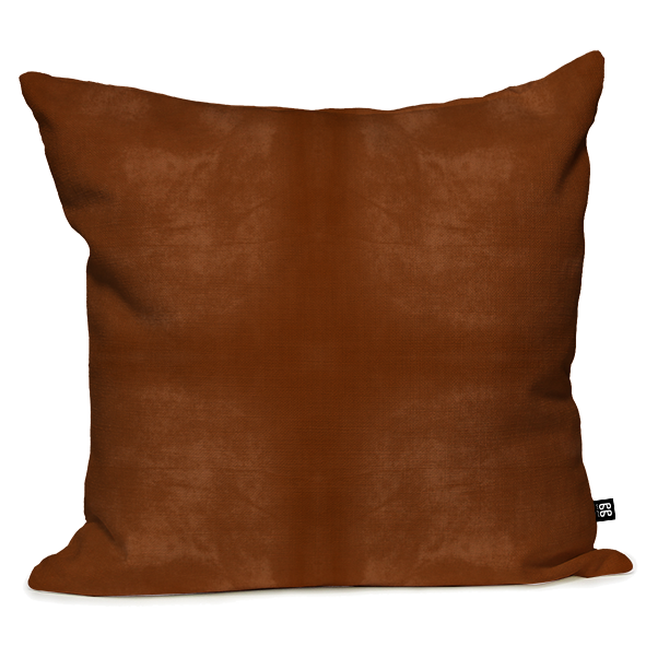 Ollama Cushion
