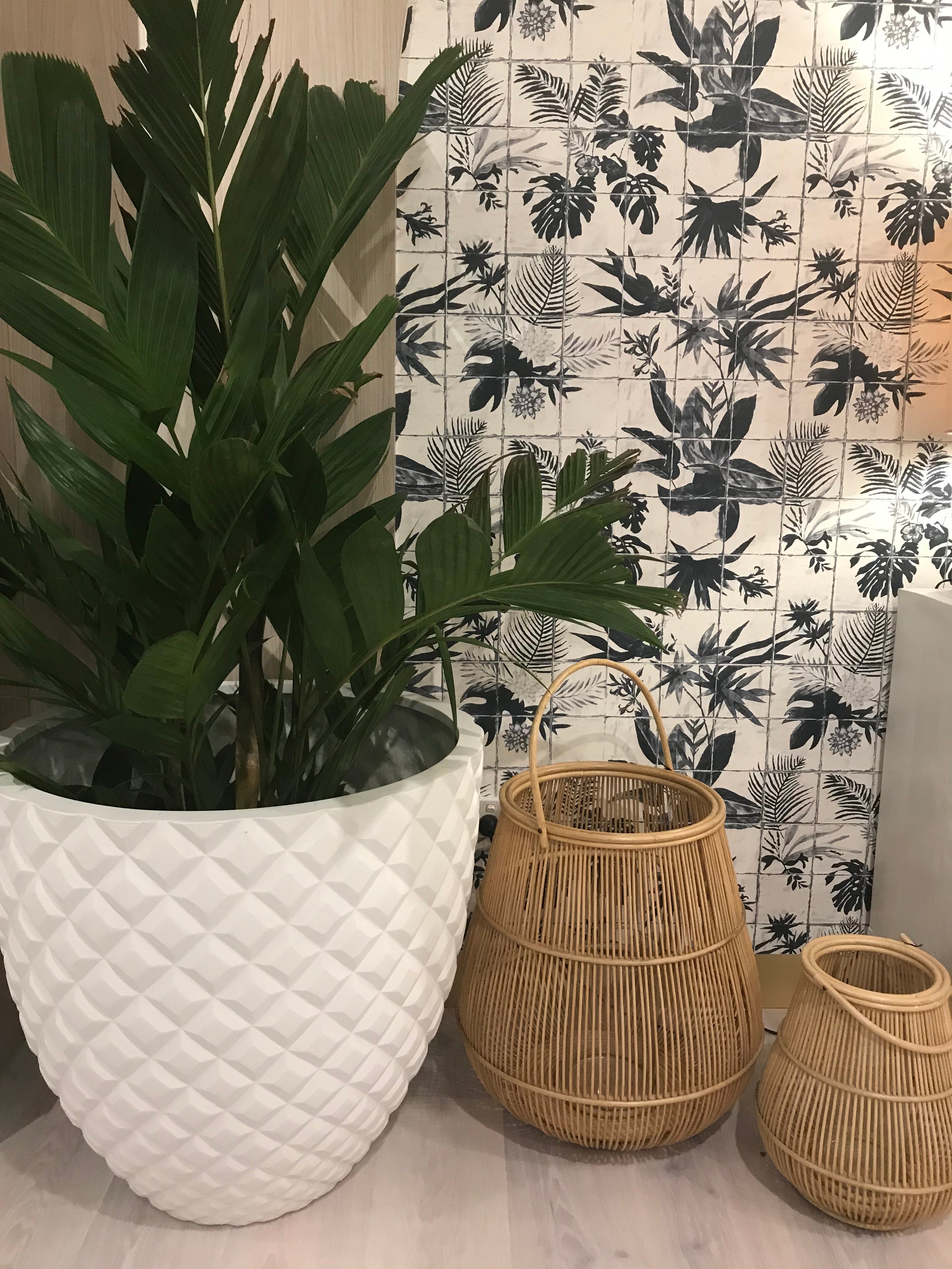 Boheme Paradise Wallpaper image 2