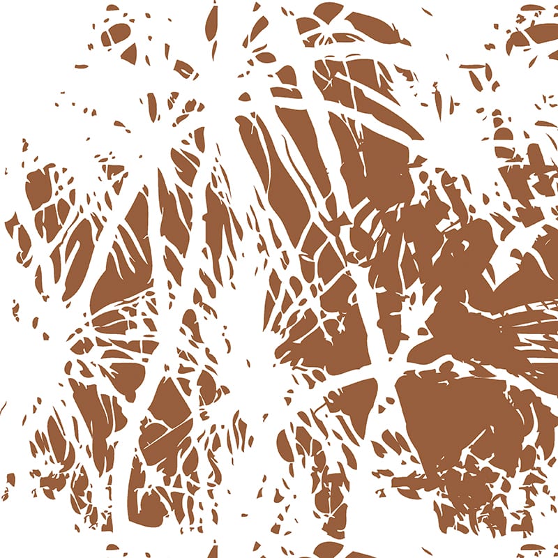 Pandanus Palm Fabric image 6