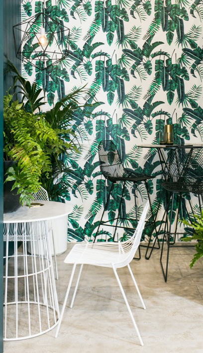 Banana Palms Wallpaper image 1