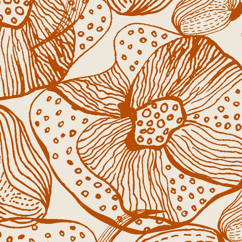 Orchids Wallpaper