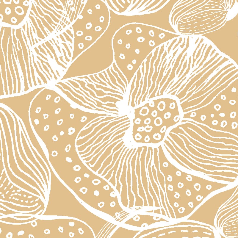 Orchids Wallpaper