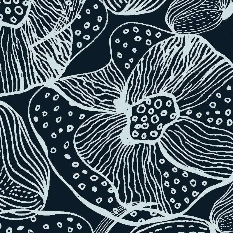 Orchids Wallpaper