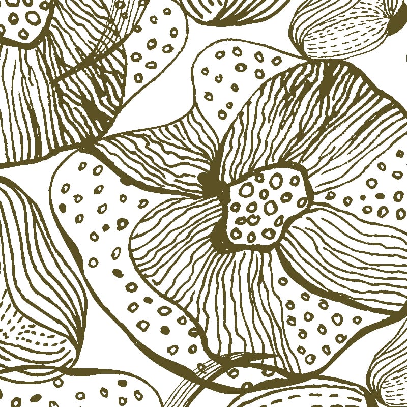 Orchids Wallpaper