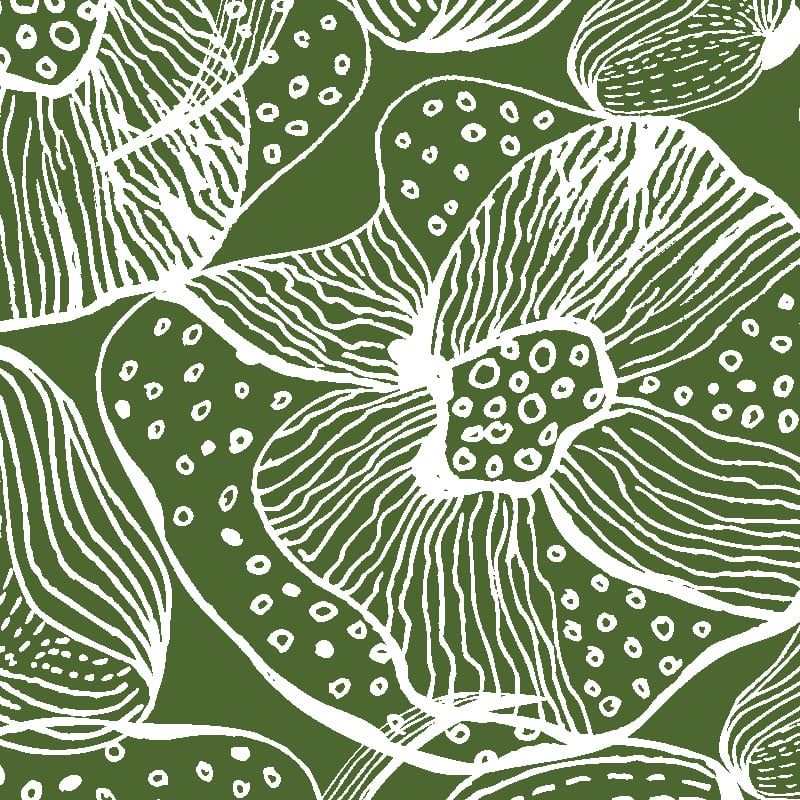Orchids Wallpaper