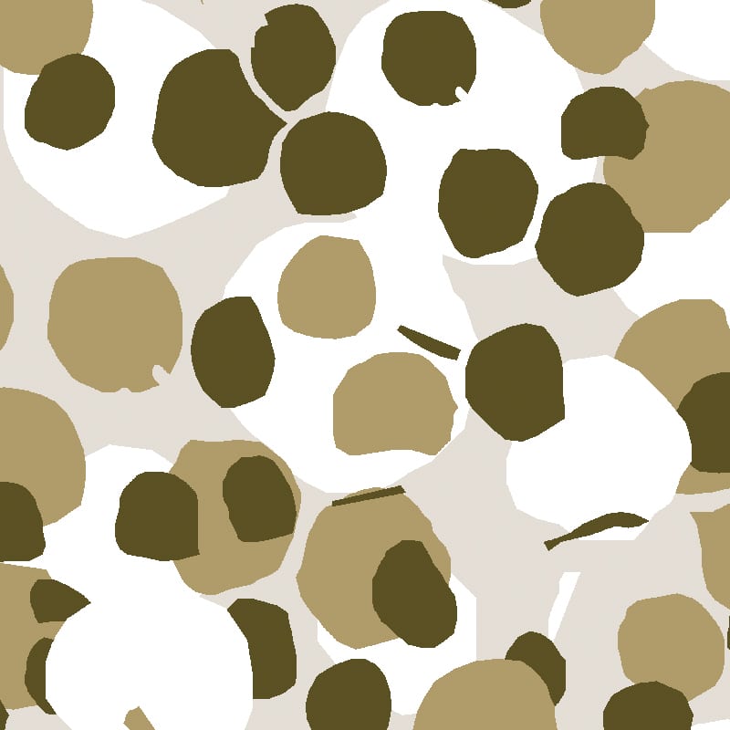 Coconut Fabric image 3