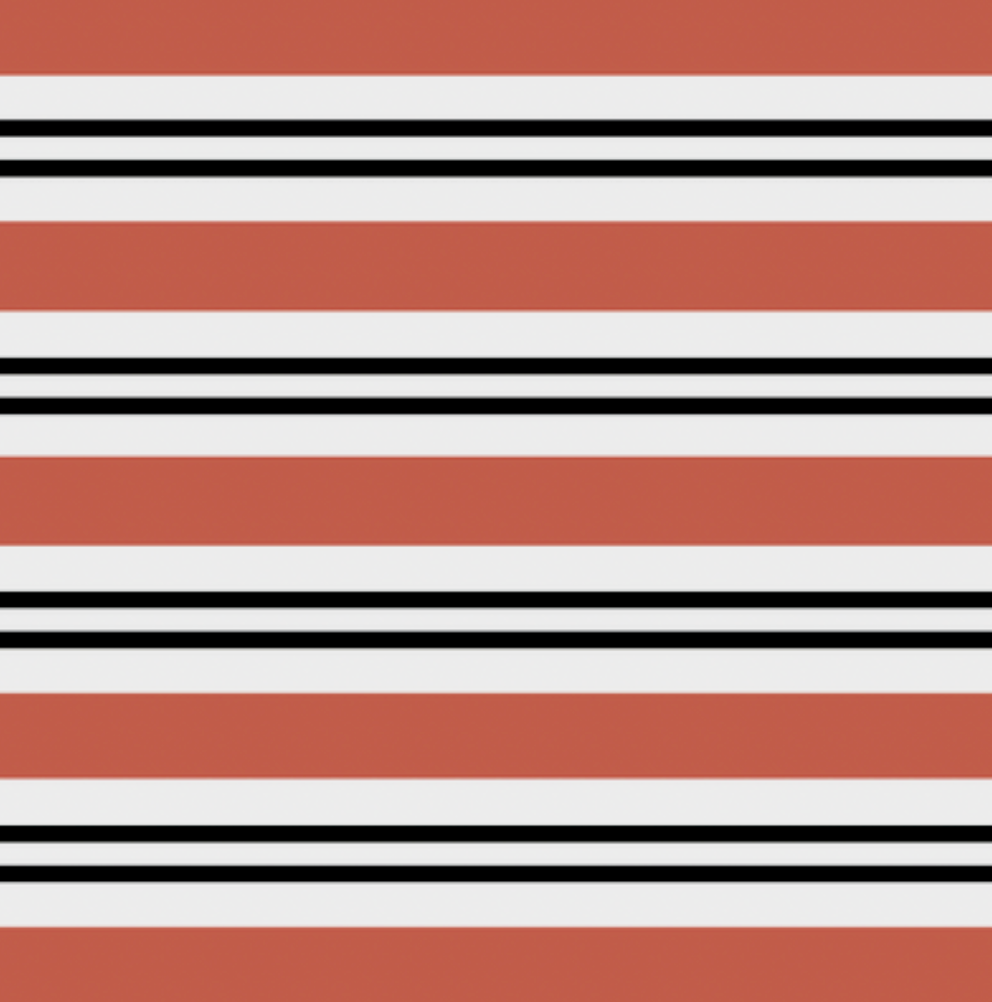 Marula / Stripe - Coral - Black - White image 3