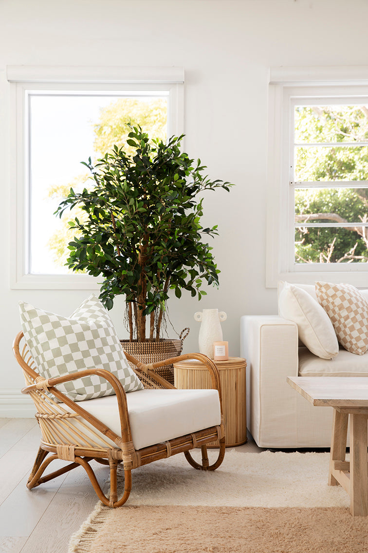 Checkers on White Cushion