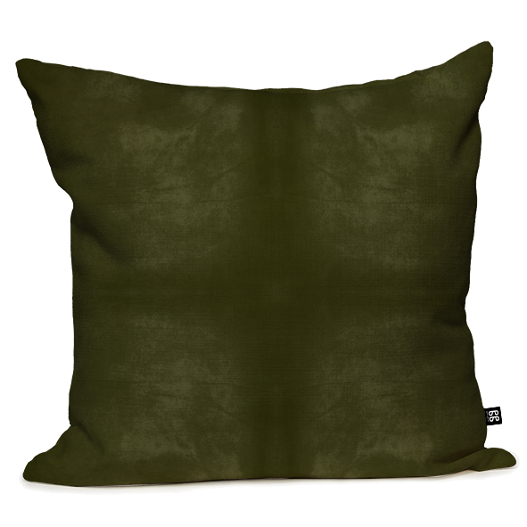 Ollama Cushion